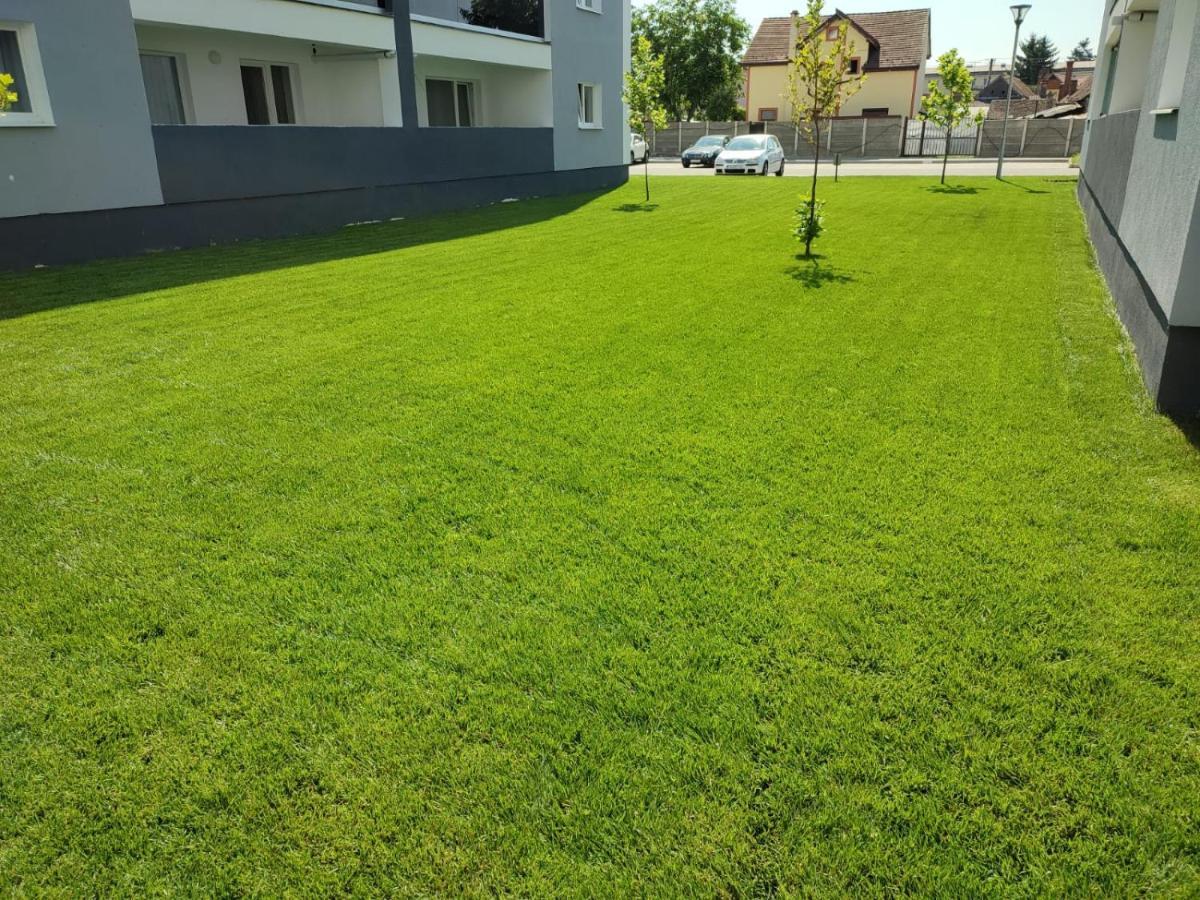 Hunyadi Luxury Kogalniceanu Sibiu Exteriér fotografie