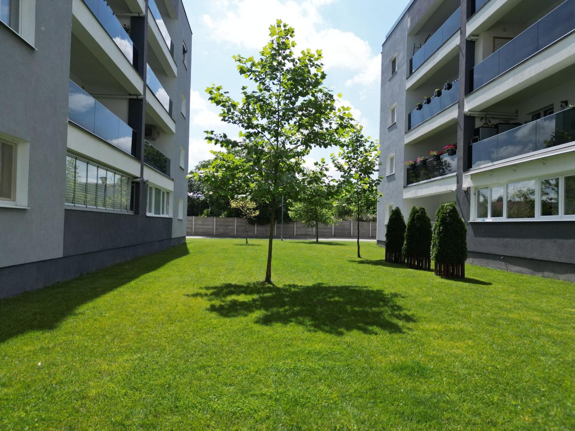 Hunyadi Luxury Kogalniceanu Sibiu Exteriér fotografie